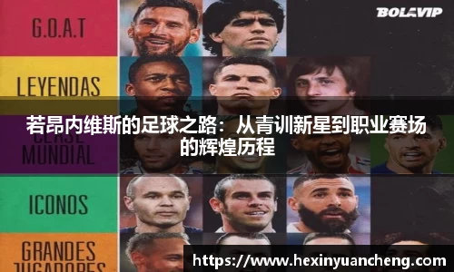 mk体育官网入口