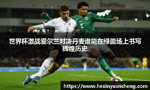 世界杯激战爱尔兰对决丹麦谁能在绿茵场上书写辉煌历史