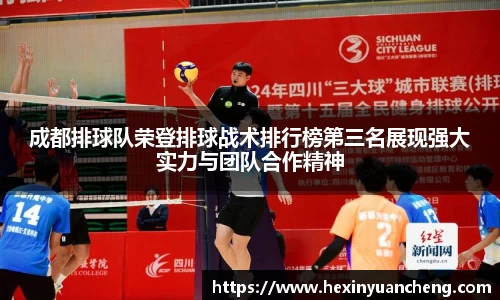 mk体育官网入口